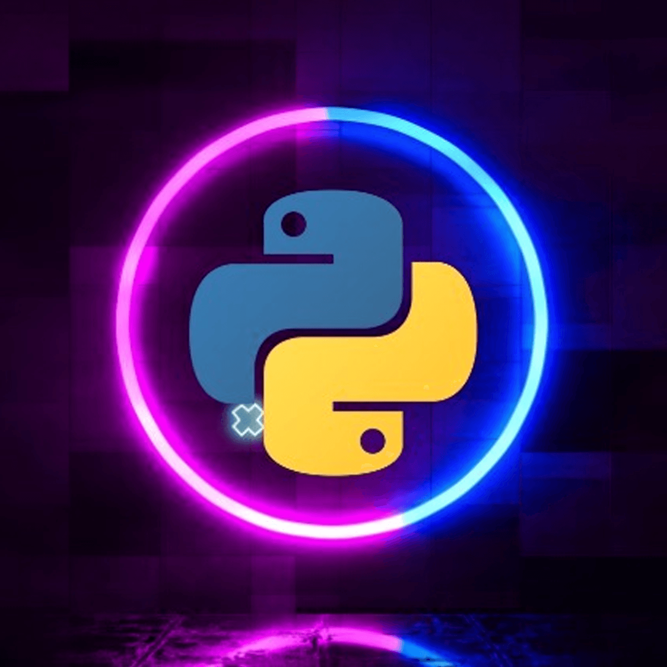Python Illustration